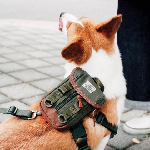 戶外、外出用品