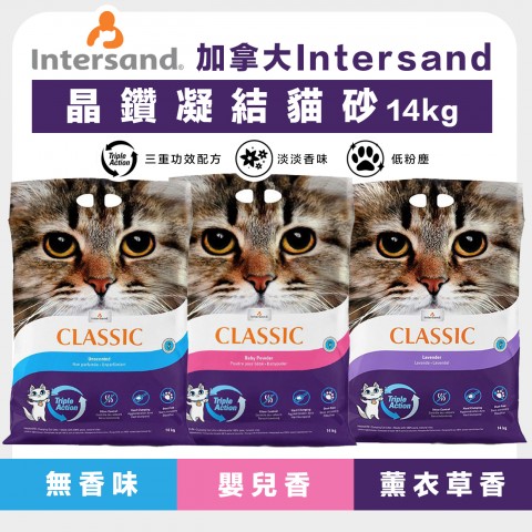 加拿大Intersand 晶鑽 凝結貓砂14kg『無味、嬰兒粉、薰衣草』貓砂 礦砂 細砂