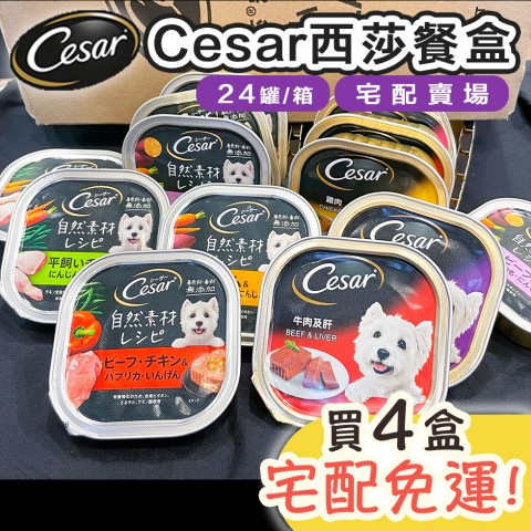 送餐盒x4罐🔥Cesar 西莎餐盒100g『買4盒✨宅配免運』（24罐/盒）狗餐盒 狗罐