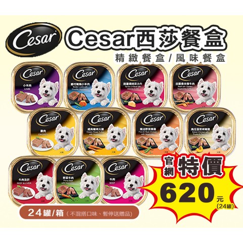 雙12官網特價🐶Cesar 西莎餐盒100g【24罐/箱】精緻主廚風味 狗餐盒 風味餐盒 狗罐