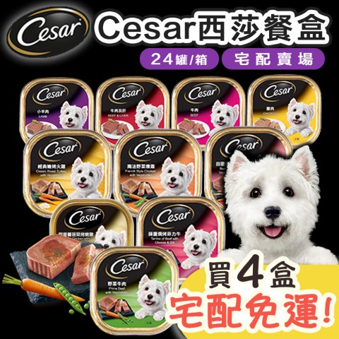 送餐盒🐶Cesar 西莎餐盒100g『買4盒✨宅配免運』（24罐/盒）狗餐盒 狗罐