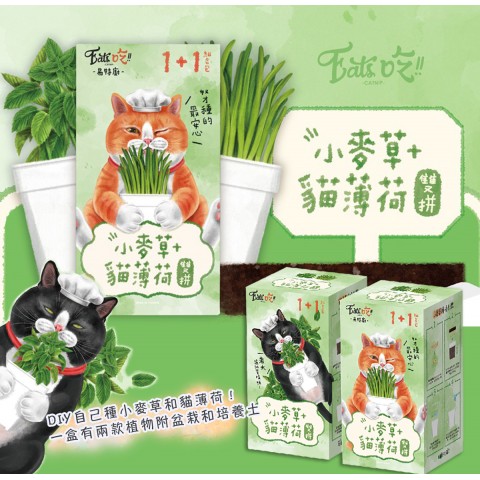 Eat's 易特廚 小麥草+貓薄荷雙拼組/盒（DIY種貓草和小麥草！ 貓草 貓咪 零食 貓咪薄荷 貓草栽培盒）