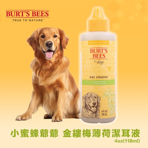 Burt's Bees小蜜蜂爺爺 金縷梅薄荷潔耳液4oz(118ml)  犬用 狗用 清耳液 耳朵清潔液 蜜蜂爺爺