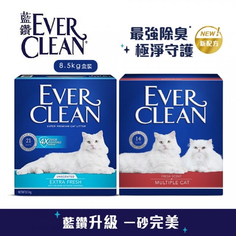 EverClean 藍鑽貓砂8.5kg『藍標無味/紅標』 盒裝 礦砂 除臭貓砂